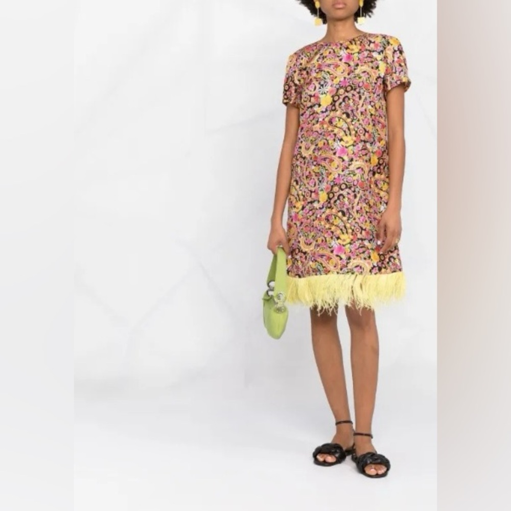 La DoubleJ Size Small EUC Mini Swing Dress with Feather Trim